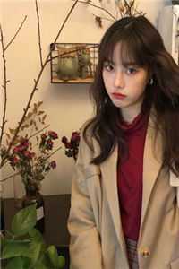 老公用女儿心脏救了白月光白月光林清川全文+番茄