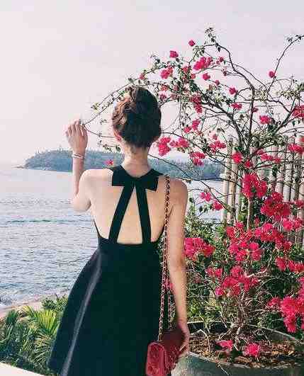 重生十年前，暴戾太女强宠九个俊美夫郎君羲顾景行后续+完结