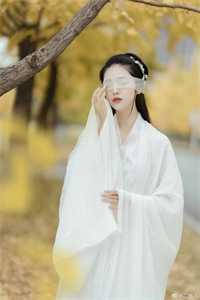 玄幻：傻子开局，从猎户开始修炼结局+番外