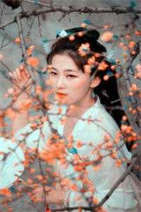 重生后，打脸逼我改嫁的白眼狼女儿全文免费