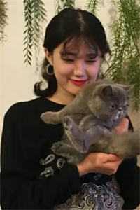 许国华陆泽的小说破局