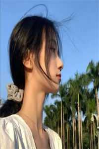 掌心雀前文+后续
