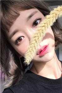 虚假的爱后续+完结
