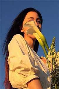 抚养多年的弃婴读完博士，亲妈就来认领了盼盼楚北辰大结局