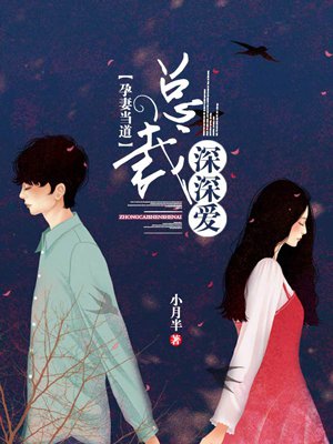 总裁宠孕妇