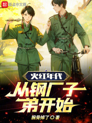 火红年代进入轧钢厂肆意人生