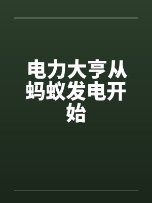 电能大亨中文版