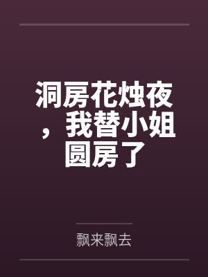 洞房花烛夜,我替小姐圆房了