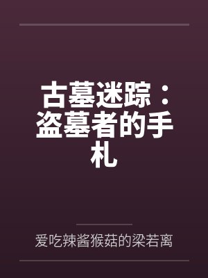 古墓迷踪:盗墓者的手札