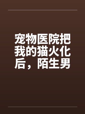 宠物医院把我的猫火化后,陌生男人说我是他老婆