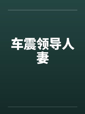 车震领导人妻